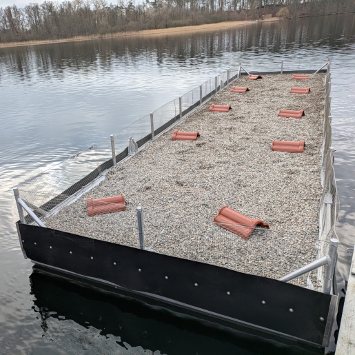Schwimmplattform Brutfloß 2025 Schwimmplattform Brutfloß 2025