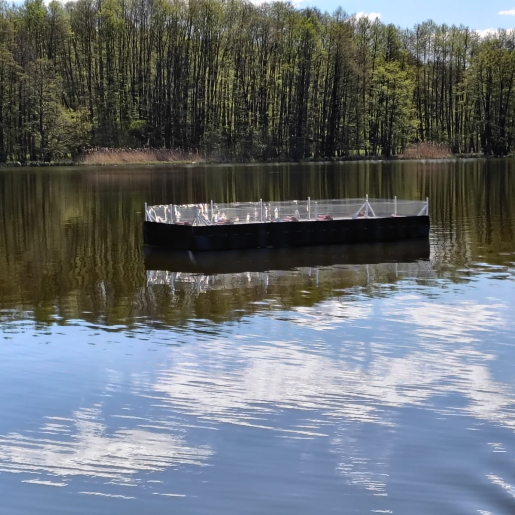 Schwimmplattform Tiefer Trebbower See 2026 Schwimmplattform Tiefer Trebbower See 2026